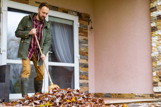 Best Trash Removal Near Me  in Downs, IL