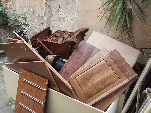 Best Yard Cleanup Services  in Downs, IL